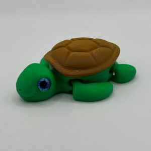 Aimant Articulé Tortue